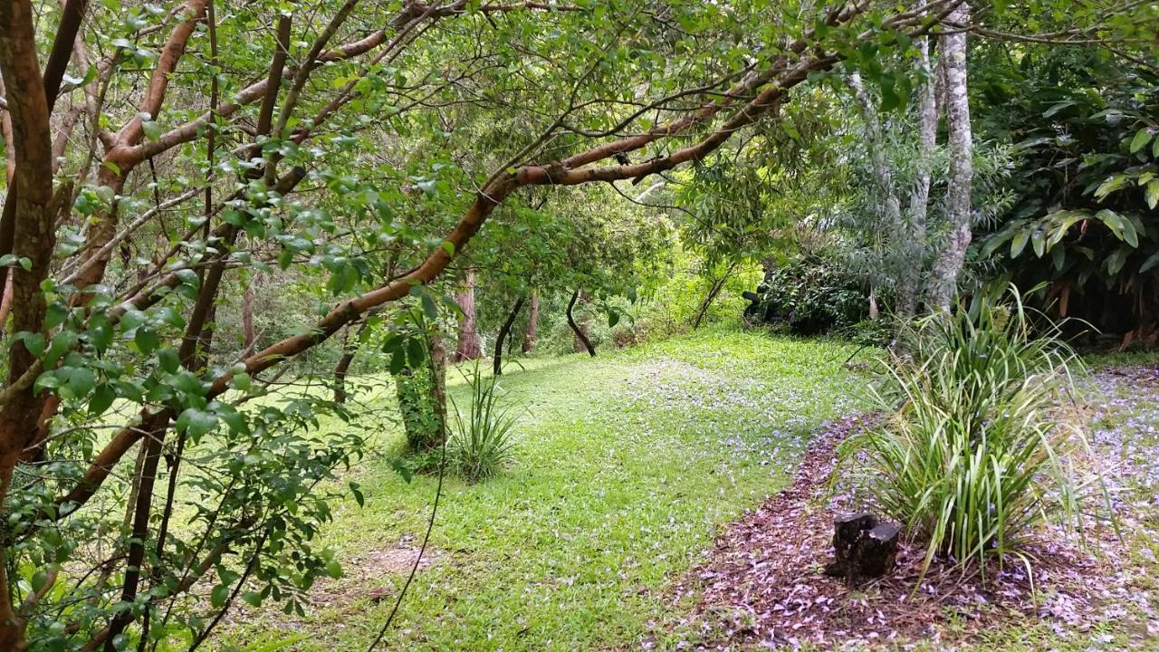 Forest View Bungalow นัมบัคคาเฮดส์ ภายนอก รูปภาพ