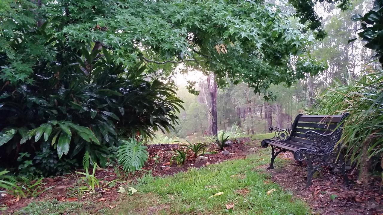 Forest View Bungalow นัมบัคคาเฮดส์ ภายนอก รูปภาพ